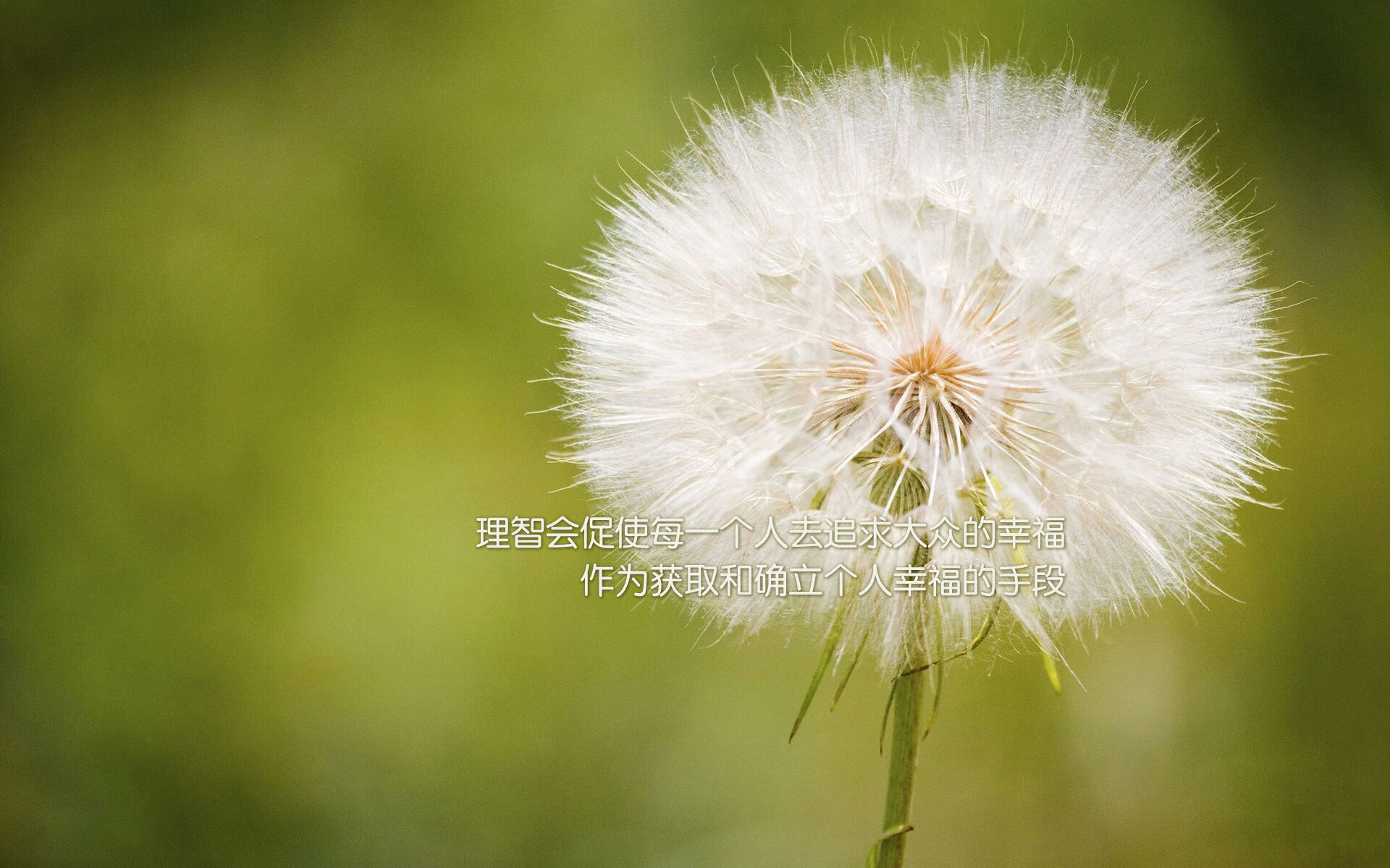 华体会官网-夜战烽火，帕尔默在F1揭幕战中以言辞之刃持续制造杀伤