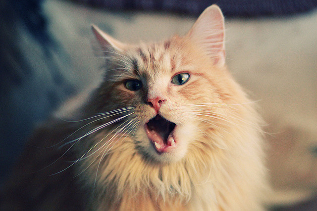 华体会网址-上帝踩过克利夫兰的夜空，达米安·利拉德书写零秒时刻新神话