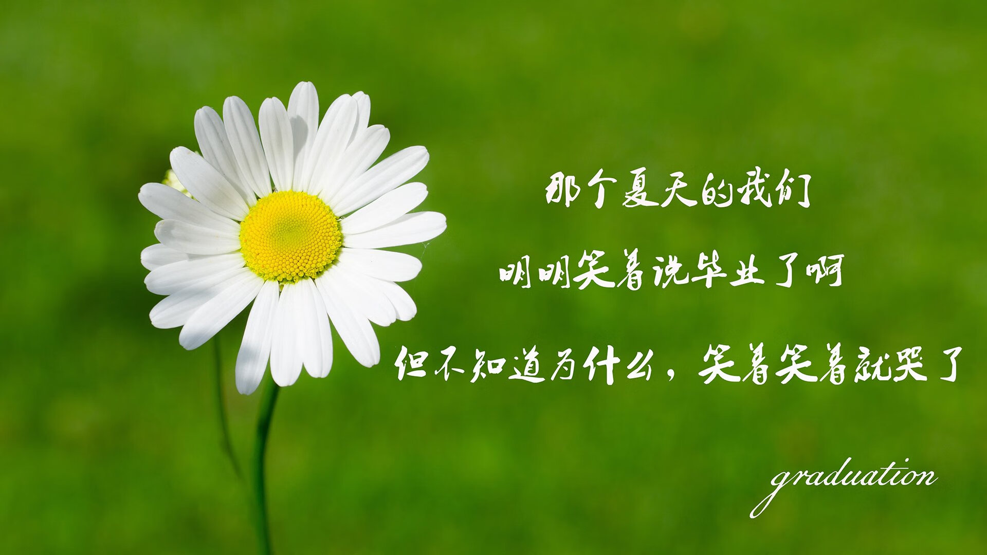 (扩展思维)
