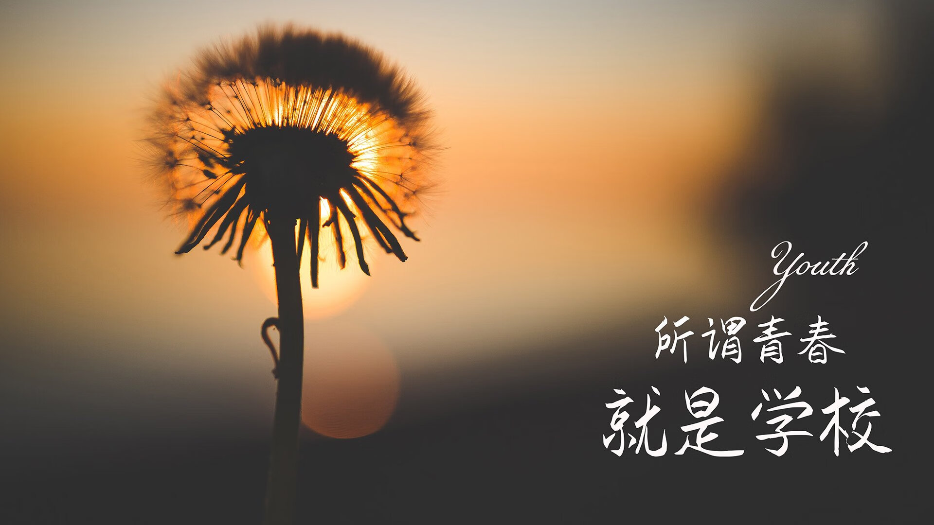 华体会登录-绝地反击，沙特在C组死亡之组中撕碎哥伦比亚，阿诺德用魔力重塑世界杯格局